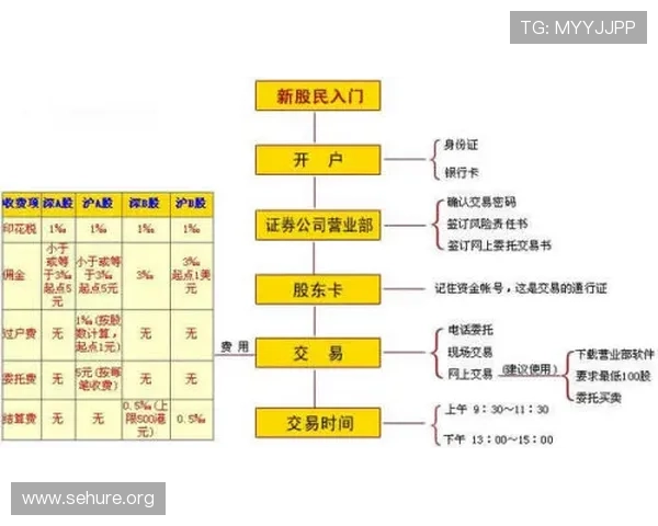 新手如何进行AG视讯怎么试玩，完整流程及注意事项详尽解析