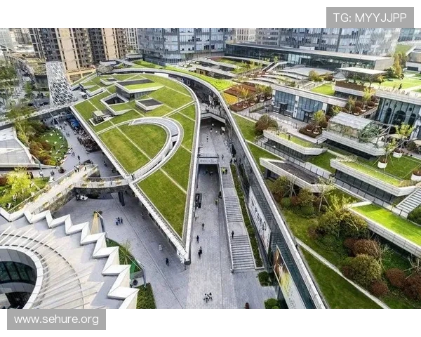 欧博会官网入口网站最新版本功能详解与使用指南